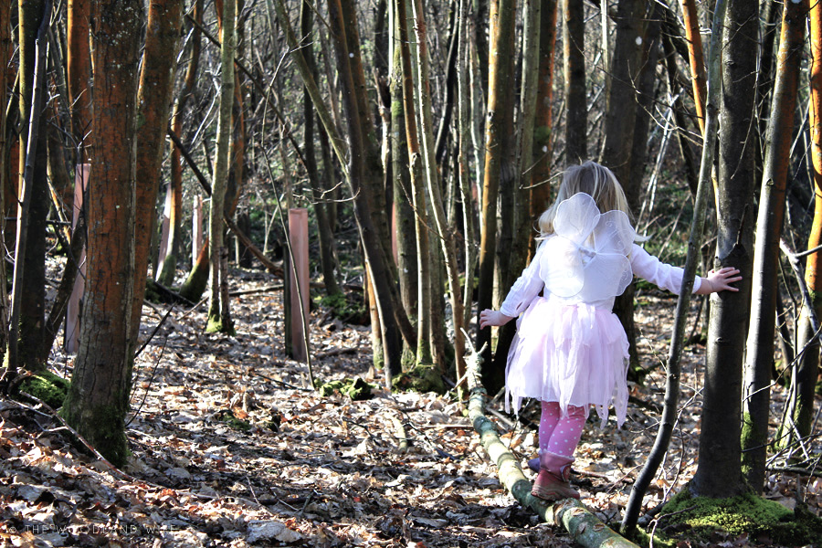 The Woodland Wife Fairy Hunt in the woods