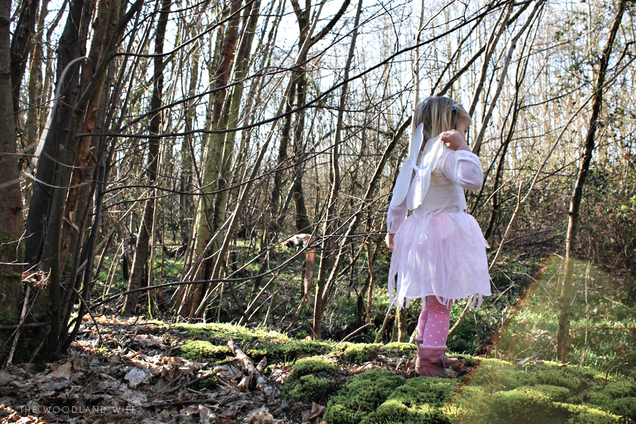 The Woodland Wife Fairy Hunt in the woods
