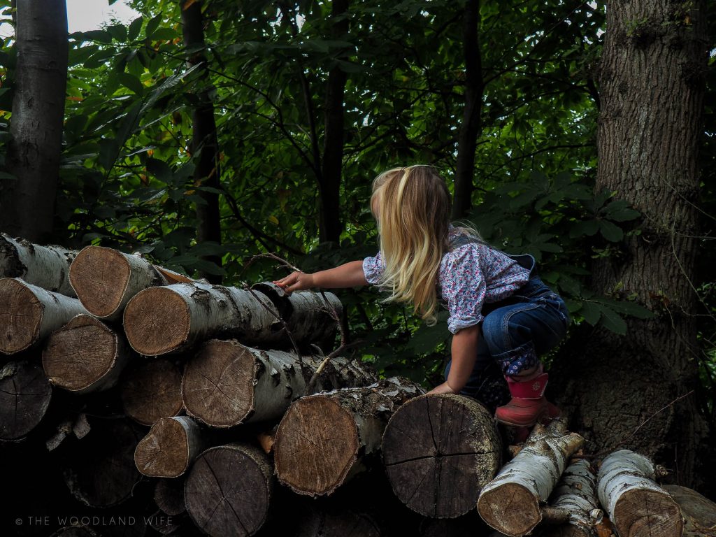 The Woodland Wife - Autumn in the Woods
