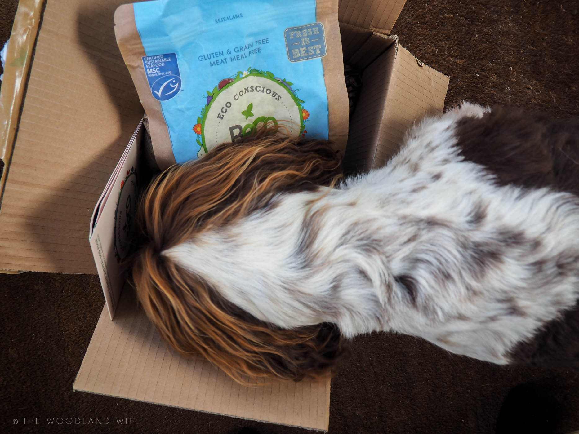 The Woodland Wife - Beco Food for Dogs, eco conscious dog food