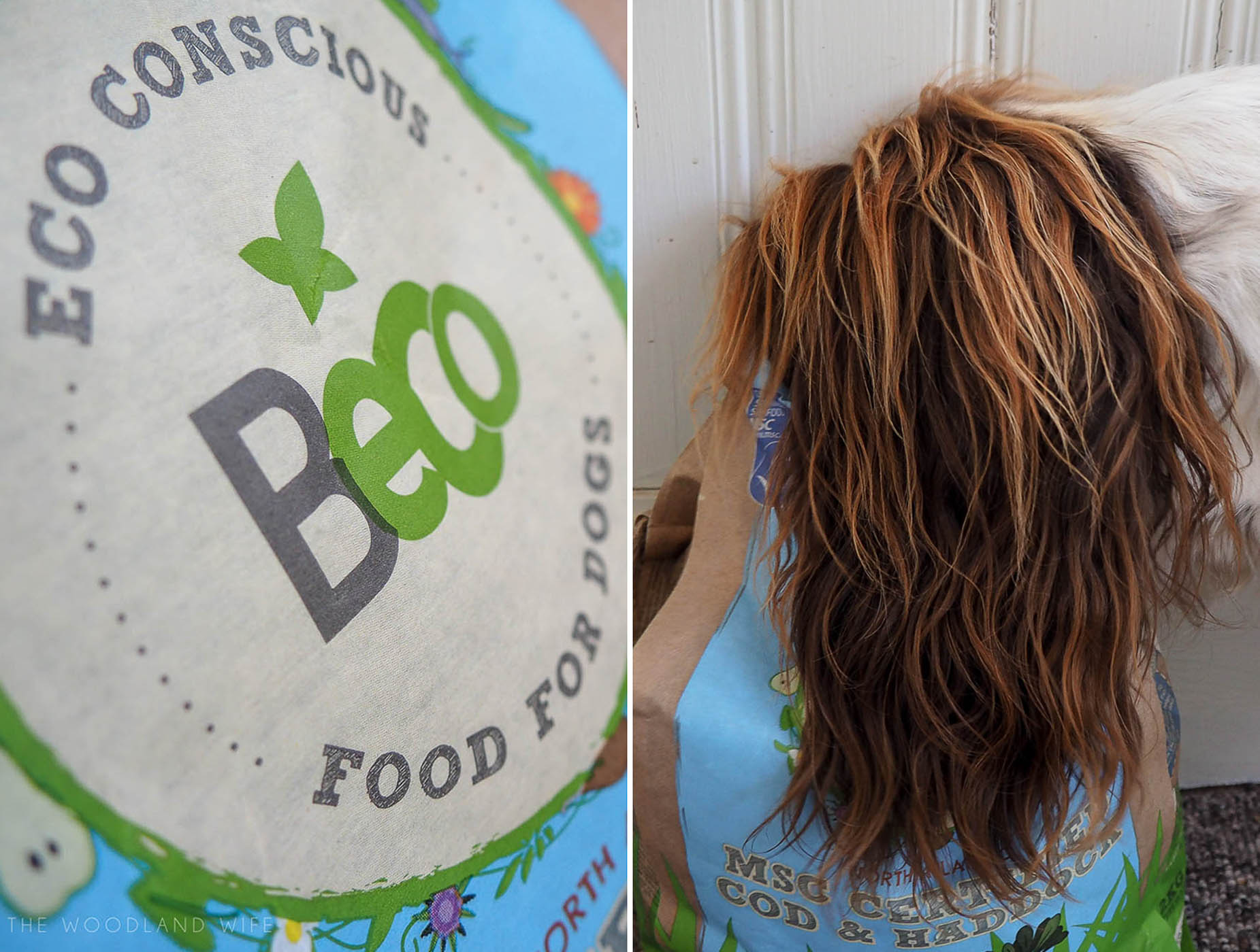 The Woodland Wife - Beco Food for Dogs, eco conscious dog food