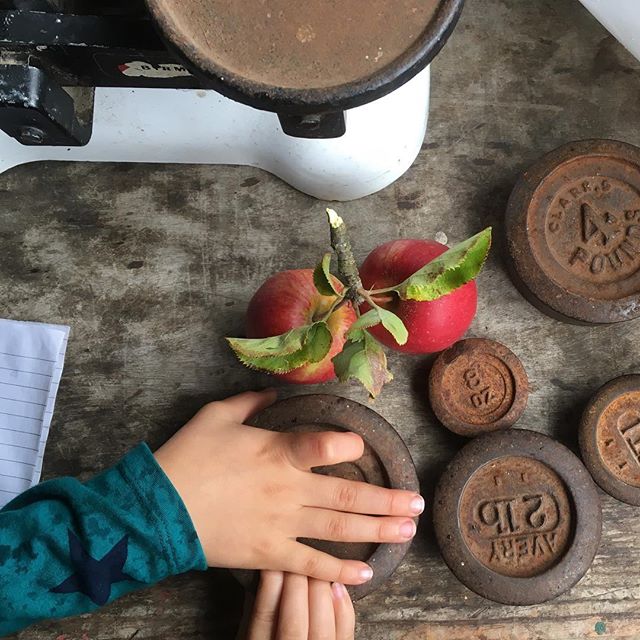 My Slow Morning with 100 Acres - Photo courtesy of @darlingbudsofme