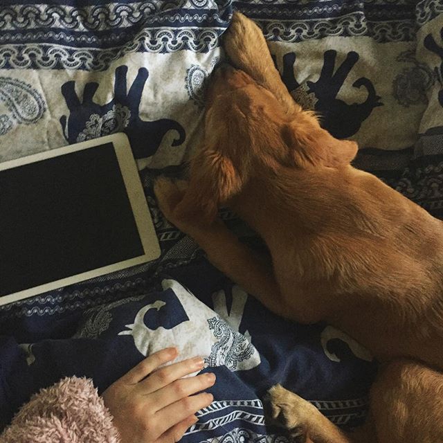 My Slow Morning with 100 Acres - Photo courtesy of @elizabethonn