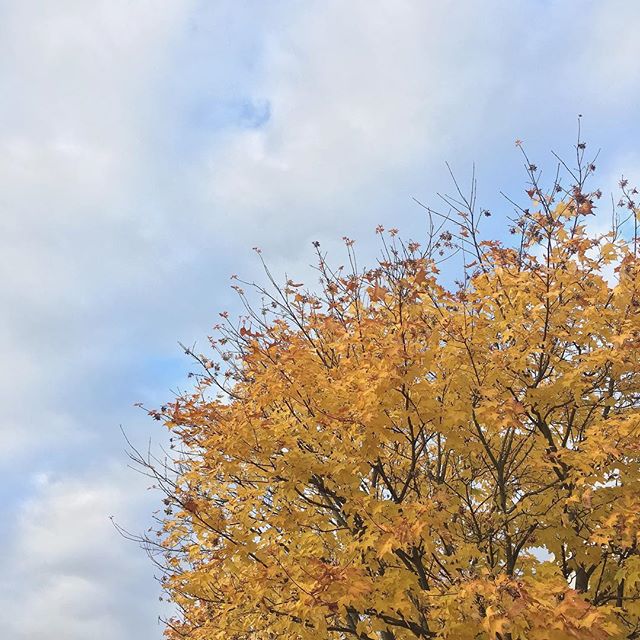 My Slow Morning with 100 Acres - Photo courtesy of @joelisedesigns