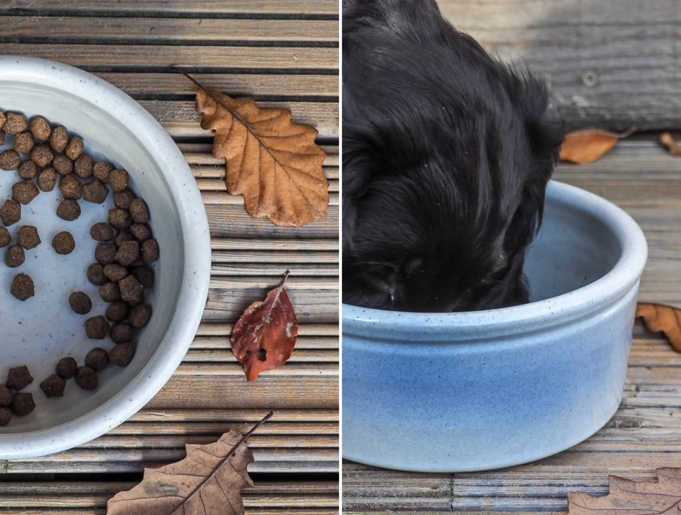 The Woodland Wife - The Dandy Dog Company - Handcrafted Dog Products