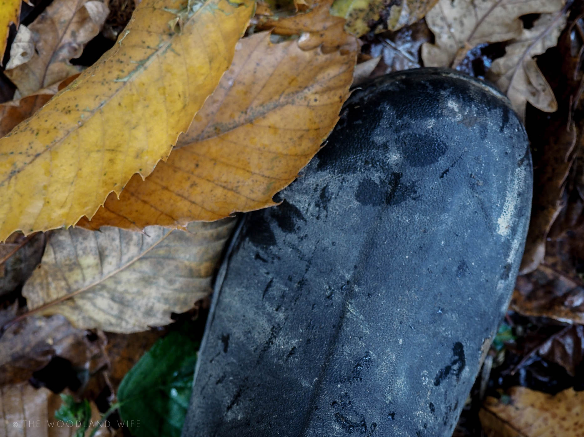 The Woodland Wife - Extreme Cold Winter Boots - The Original Muck Boot Company