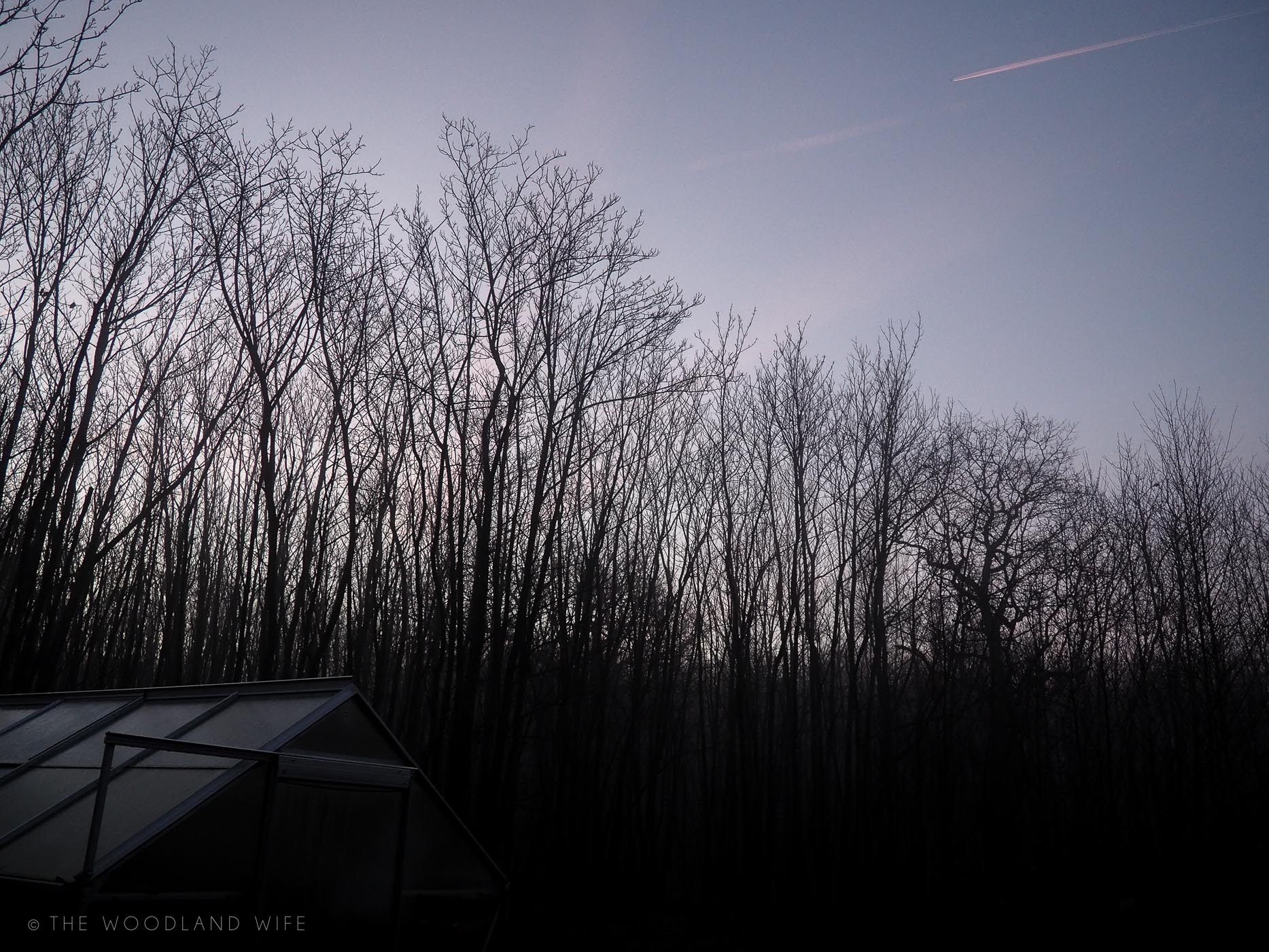 The Woodland Wife - ALSO Home