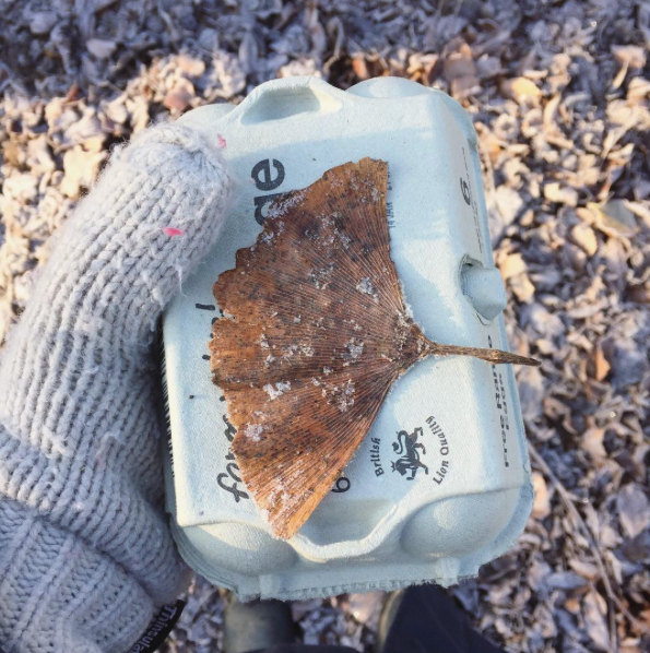 MY SLOW MORNING WITH LIBERTY KELLY – PHOTO COURTESY OF @kathyhuttonprints