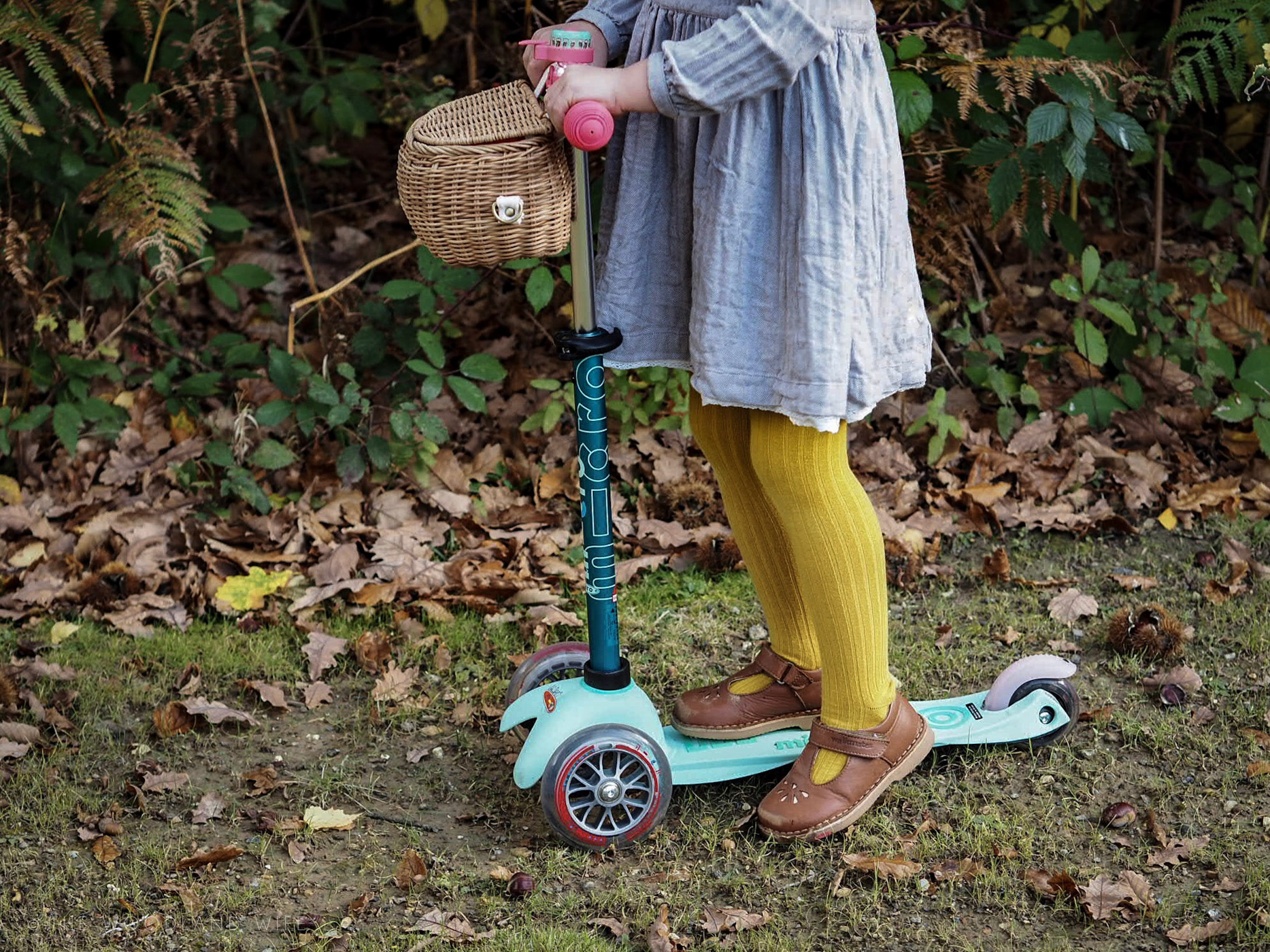 The Woodland Wife - Made for Adventure - Mini Micro Scooter - Customised Scooter