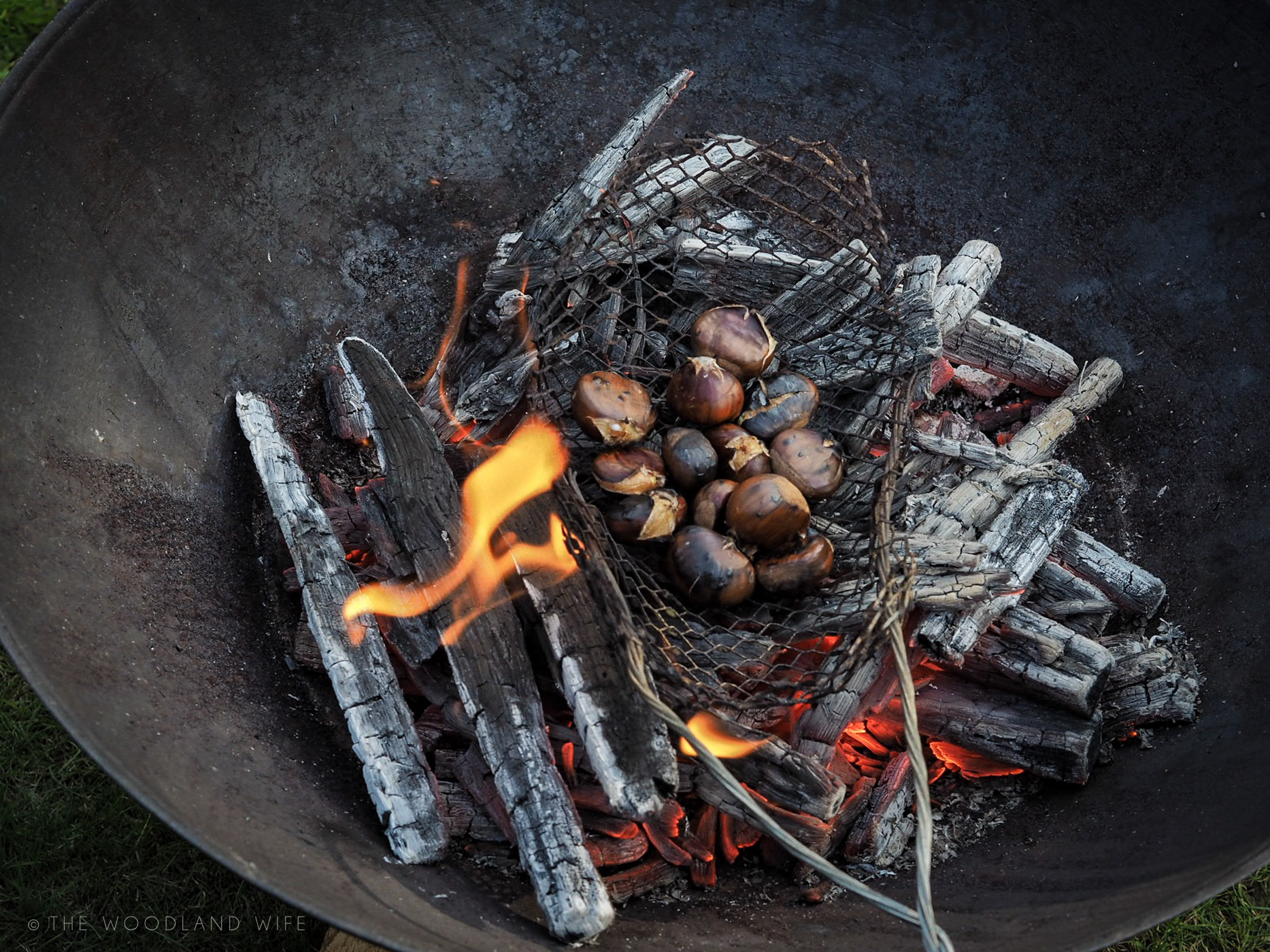 The Woodland Wife - Roasting Chestnuts in the woods - The taste of Autumn - Gather, Roast, Feast on sweet chestnuts